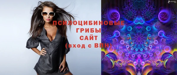 спиды Елабуга