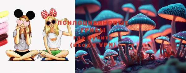 героин Ельня