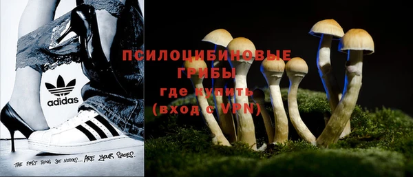 спиды Елабуга